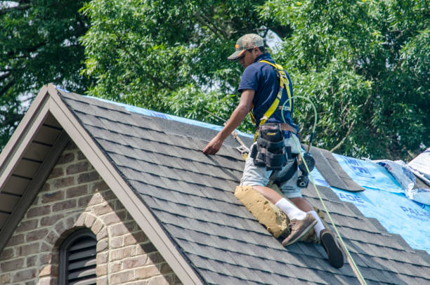 Best Roof Gutter Cleaning  in Lake Park, NC